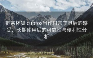 把茶杯狐 cupfox当作日常工具后的感受：长期使用后的可靠性与便利性分析
