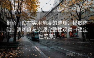 糖心｜站在实用角度的整理：播放体验、清晰度与资源完整性观察（稳定性观察）