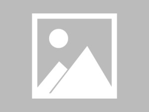 可可影视在线观看适合什么人全解析：对比分析总结（新手必看）