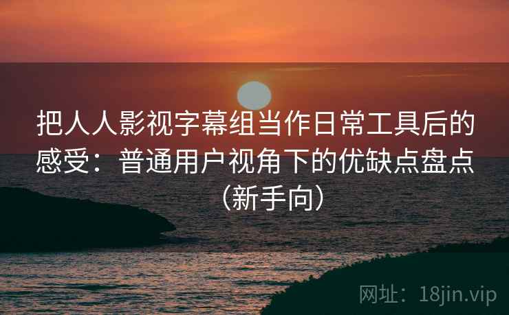 把人人影视字幕组当作日常工具后的感受：普通用户视角下的优缺点盘点（新手向）