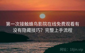 第一次接触蜂鸟影院在线免费观看有没有隐藏技巧？完整上手流程