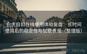 白虎自扣在线使用体验复盘：长时间使用后的稳定性与加载表现（整理版）