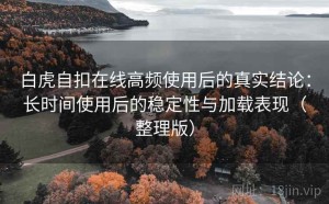 白虎自扣在线高频使用后的真实结论：长时间使用后的稳定性与加载表现（整理版）