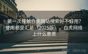 第一次接触白虎网站搜索好不好用？使用感受汇总（2025版），白虎网络上什么意思