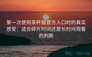 第一次使用茶杯狐官方入口时的真实感受：适合碎片时间还是长时间观看的判断