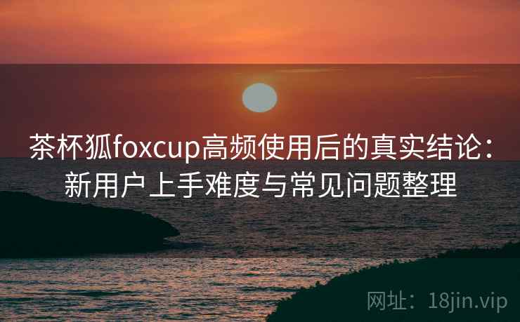 茶杯狐foxcup高频使用后的真实结论：新用户上手难度与常见问题整理