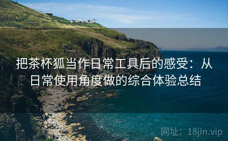 把茶杯狐当作日常工具后的感受:从日常使用角度做的综合体验总结 把茶杯狐当作日常工具后的感受:从日常使用角度做的综合体验总结