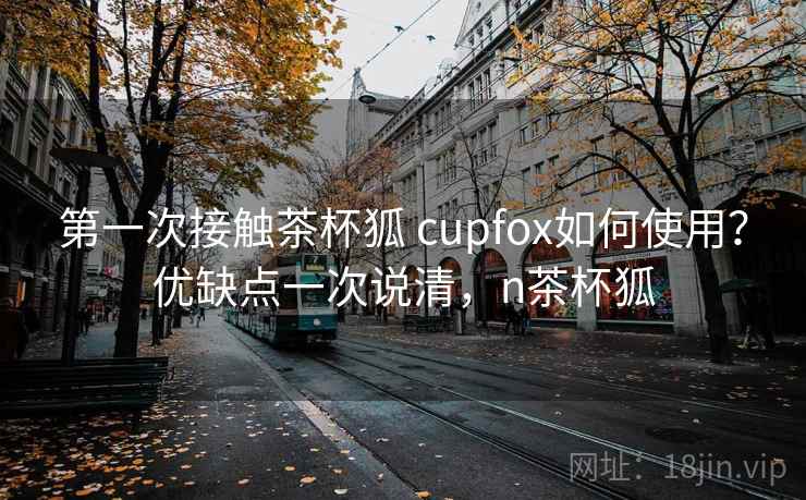 第一次接触茶杯狐 cupfox如何使用？优缺点一次说清，n茶杯狐
